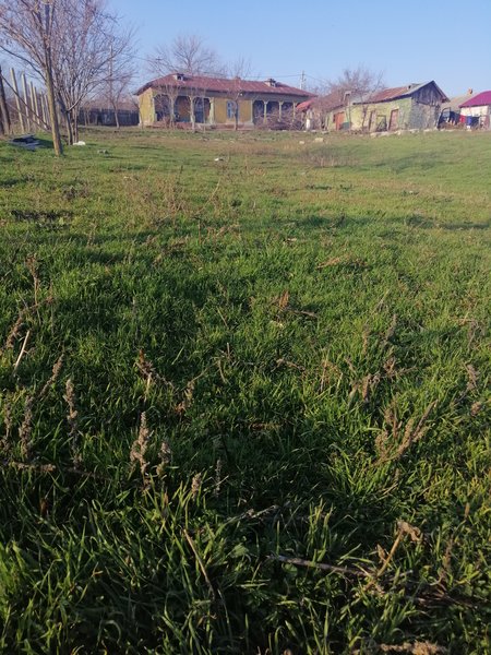 Rasmiresti, jud. Teleorman,