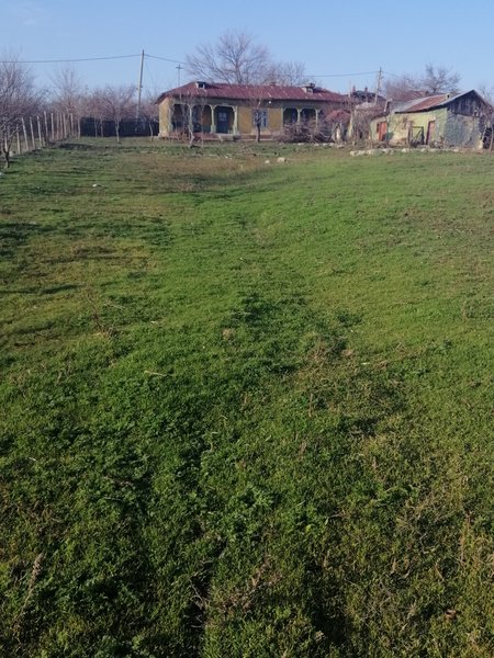 Rasmiresti, jud. Teleorman,