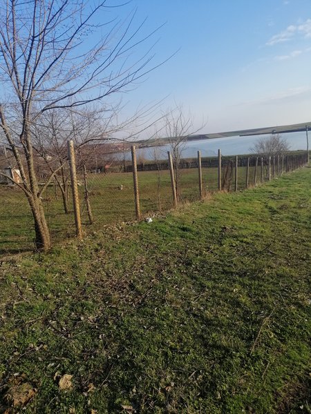 Rasmiresti, jud. Teleorman,